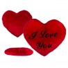 Κόκκινη Bελούδινη Kαρδιά XXL με Κείμενο I LOVE YOU 60 εκ