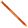 Στυλό Gel με Γόμα LEGAMI Erasable TIGER ΠΟΡΤΟΚΑΛΙ Μελάνι 0.7mm