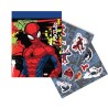 Σετ Χρωματισμού SPIDER-MAN 54x47 εκ.