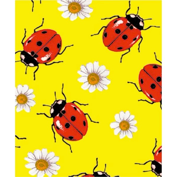 Χαρτόνι Φωτοκαρτον  50x70 ΠΑΣΧΑΛΙΤΣΕΣ